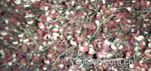 展示花椒实物与祛湿相关的中医典籍插图 花椒与祛湿