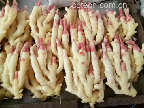 老姜鸭食材准备图