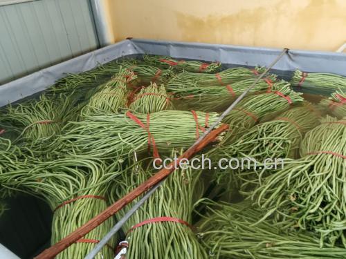 特写镜头:新鲜切好的细土豆丝完全浸没在冰水混合液中,可见细微白色淀粉析出,水体微浊但未浑浊,强调低温物理去淀粉过程,无加热痕迹 土豆丝在透明玻璃碗中浸泡于清澈冰水中,水面漂浮少量白色淀粉絮状物,背景为不锈钢水槽与冰块,体现低温去淀粉原理