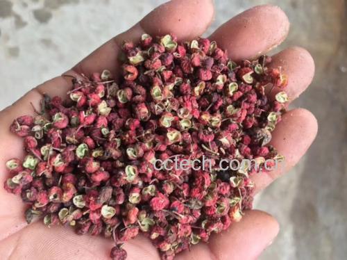 花椒红枣茶与花椒盐炒花生摆盘照片,展现花椒在日常生活中的药膳应用 花椒药膳成品展示图
