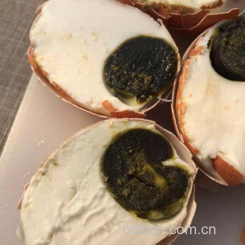 高清食物摄影:剥壳完成的75℃温泉蛋横切面,蛋白厚度均匀3.2mm、无气孔,蛋黄呈完美同心圆流心结构,周围点缀欧芹碎与橄榄油滴,体现‘完整不破、营养锁鲜’核心卖点 成功水煮鸡蛋成品特写:5枚完整无裂鸡蛋整齐排列,蛋壳光洁无斑点,剥开后蛋白莹白如玉、蛋黄橙红柔润呈溏心状,表面覆盖薄层橄榄油光泽