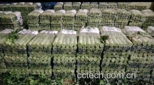 切好的菱形莴苣片