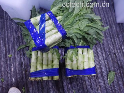 凉拌菱形莴苣成品图
