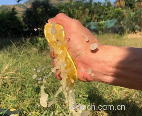 橙子制作成果汁的过程