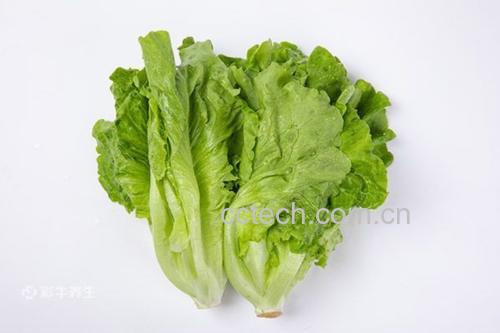 专业厨房场景：不锈钢炒锅中生菜正在旺火快炒，青翠叶片翻飞，锅沿有细微白气但无大量蒸汽，厨师手持锅铲快速翻动，计时器显示“01:15”，凸显75秒黄金炒制时间点