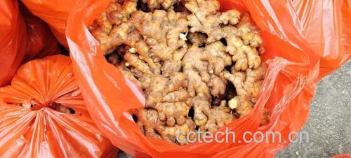 早晨厨房中摆放整齐的生姜片、全麦面包、水果和牛奶,营造出健康早餐的生活氛围 早晨厨房中的生姜与健康早餐搭配