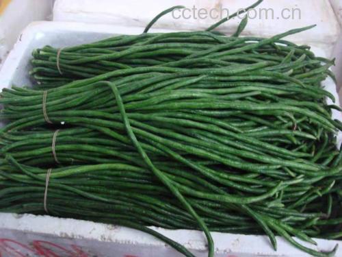 新鲜绿色豆角整齐摆放在竹篮中 豆角特写图