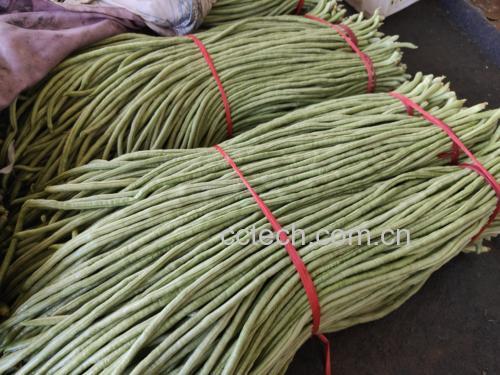 清炒长豆角成品图