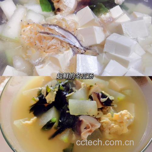 新鲜冬瓜切片与北豆腐块并列摆放,展示制作冬瓜豆腐汤的主要食材 冬瓜切片与豆腐块置于白色瓷碗中,背景为厨房台面,自然光照射,突出食材新鲜质感