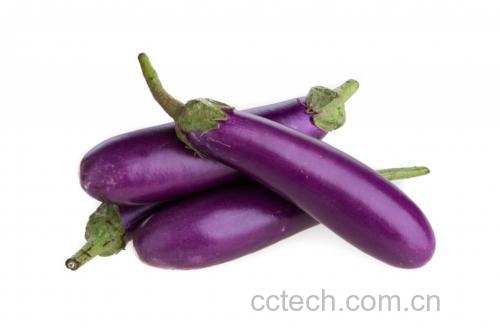 白菜与茄子食材展示图