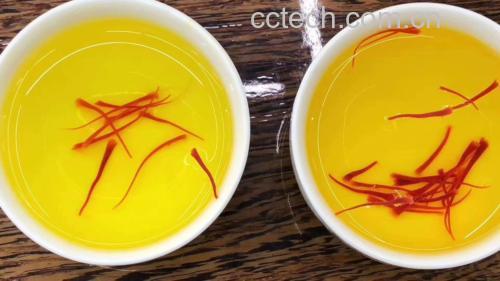 泡水饮用对比图:一杯为黄芪片泡水,水色微黄透明;另一杯为藏红花丝泡水,水呈明亮金黄色,花丝舒展。旁边配有计量勺和玻璃杯 图片描述