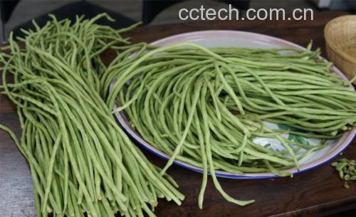 新鲜的大白菜与红皮土豆摆放在厨房案板上,背景为木质台面,光线柔和自然 白菜与土豆的搭配图