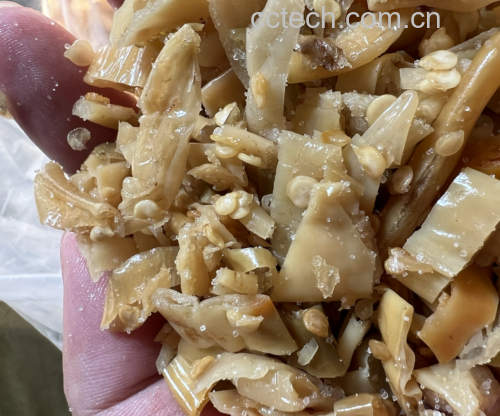 锅中油热后加入蒜末和干辣椒翻炒出香味 炒锅中煸炒蒜末与干辣椒