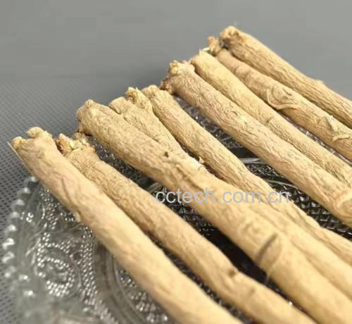 左侧为优质黄芪:条匀、皮色淡黄、断面菊花心明显;中间为优质党参:表面环纹清晰、断面黄白、质地紧实;右侧为劣质硫熏品:颜色过白、气味刺鼻、断面发暗。三者并列摆放,背景为白色瓷盘,突出对比效果 黄芪党参药材质量鉴别对比图