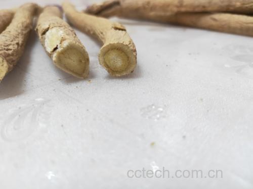 展示新鲜黄芪片和牛蒡根切片的特写图片,背景为木质桌面 黄芪与牛蒡原材料图
