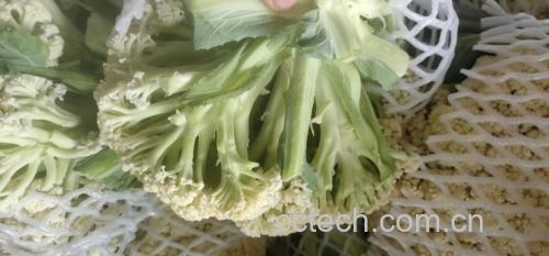 展示松花菜在锅中翻炒的过程,配以蒜末、胡萝卜丝等配料 松花菜炒制过程图