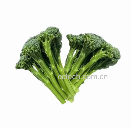 图片说明:新鲜的生菜与西兰花摆放在案板上,颜色鲜明,准备进行切配 生菜与西兰花对比图