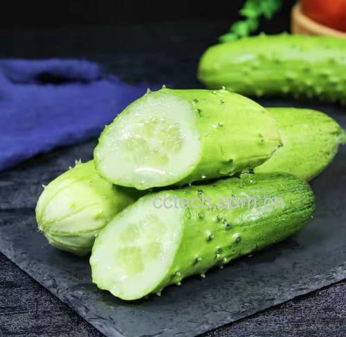 新鲜的黄瓜与生菜摆放在案板上,准备切块榨汁 黄瓜与生菜原料图