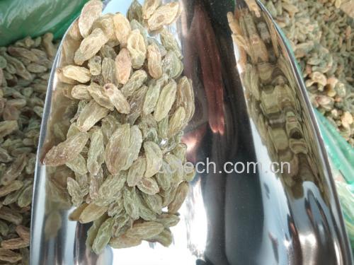 葡萄与酸奶、坚果、燕麦等健康食材搭配的示意图,展示科学搭配方式 葡萄与健康饮食搭配示意图