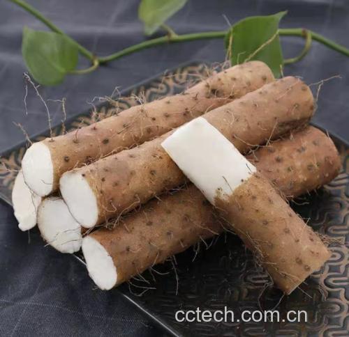 一碗热气腾腾的排骨山药萝卜汤,汤色清澈,食材分明,旁边摆放着餐具和葱花点缀 排骨山药萝卜汤成品图