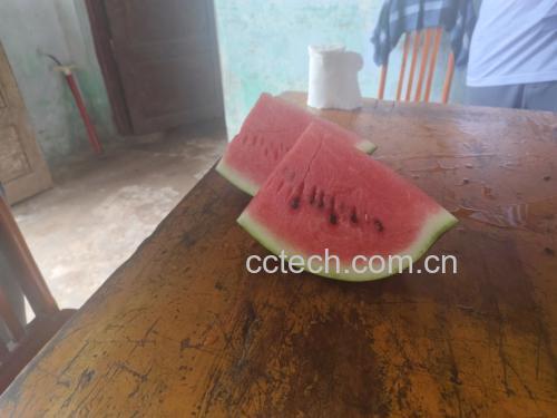 西瓜与其他食材搭配的拼盘示意图
