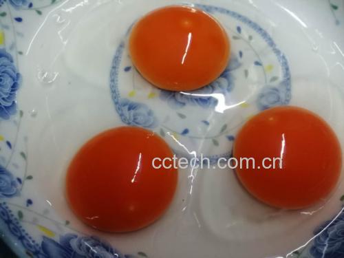展示30个鸡蛋与适量食盐摆放在案板上 鸡蛋与食盐摆放整齐