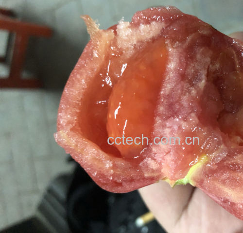 切开的西红柿露出多汁的果肉和种子,展示其自然结构与丰富水分 切开的西红柿展示内部结构