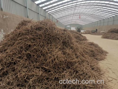 展示黄芪根部与金樱子果实的实物对比图,背景为农田环境 黄芪与金樱子植物图