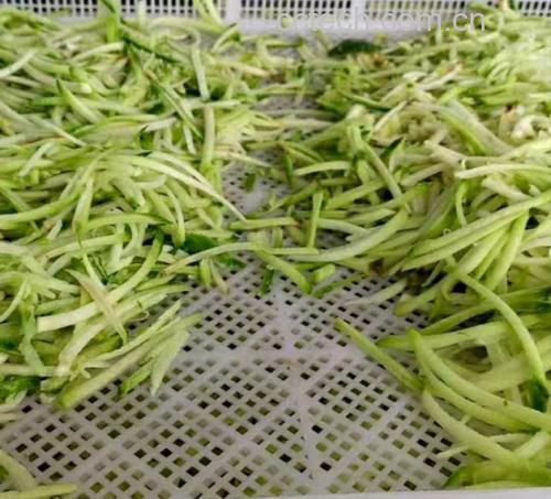 胡萝卜切丝过程