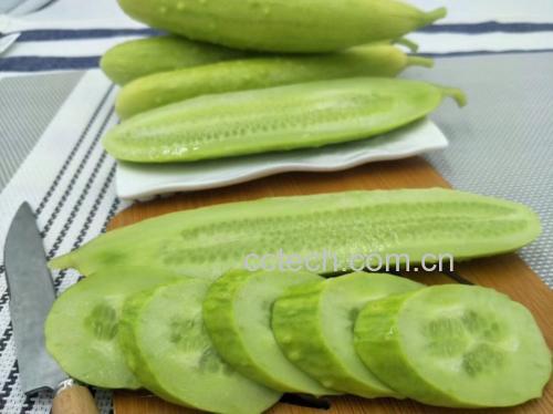 新鲜的白菜与黄瓜摆放在案板上,颜色对比鲜明,准备切片 白菜黄瓜拼盘示意图