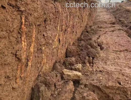 展示铁棍山药的原产地种植环境与土壤特征 铁棍山药种植环境图
