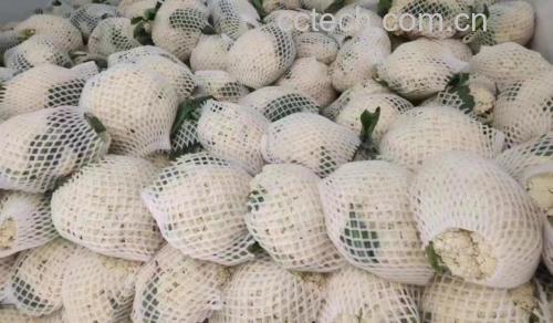 松花菜与多种小青菜拼盘图