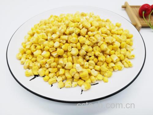 一盘刚出锅的松仁玉米菜肴,盛放在白色瓷盘中,金黄色的玉米粒与浅棕色松仁均匀分布,表面略有油光但不腻,点缀少量红色胡萝卜丁和青豆,整体色彩鲜艳诱人,背景虚化的厨房环境中可见炒锅与调料瓶 松仁玉米成品菜肴