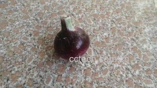 洋葱炒娃娃菜成品图
