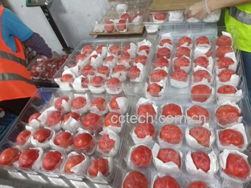 红柿子与其他秋季水果摆盘展示图 红柿子与其他秋季水果摆盘展示图