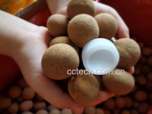 一位年轻女性正开心地用手拿着几颗葡萄准备食用,背景明亮温馨,突出健康饮食主题 女性手拿葡萄进食图