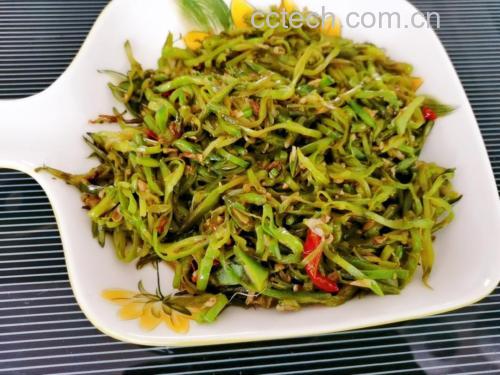 一道完成的清炒豌豆角菜品特写,豆角翠绿鲜亮,搭配橙色胡萝卜薄片和黑色木耳,色彩对比鲜明,摆盘美观,体现家庭健康饮食风格 一盘摆盘精美的家常菜肴:清炒豌豆角配胡萝卜片和木耳,置于白色瓷盘中,背景为木质餐桌和简约餐具