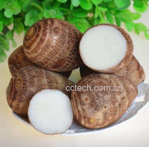 毛芋头的营养成分展示图