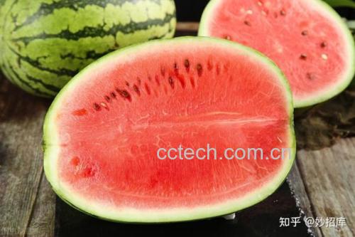 一个新鲜切开的红瓤西瓜,刀口处有明显的鲜红色汁液正从瓜肉中缓缓渗出,背景为绿色瓜皮与红色瓜瓤的鲜明对比,光线明亮,突出汁液的透明感和色泽鲜艳度 西瓜切开瞬间红汁流出特写