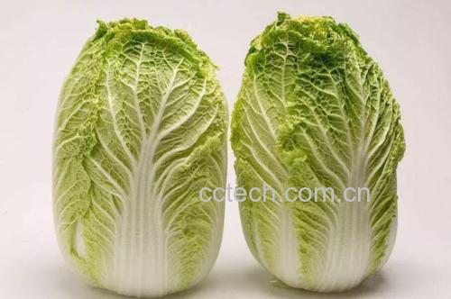 图示为白菜加盐搅拌并静置的过程 白菜杀水过程