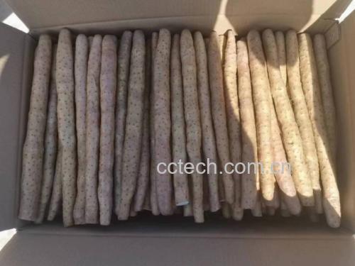 一位女性在厨房中认真地将山药切片放入锅中炖煮,背景整洁温馨,体现健康饮食的生活方式 女性厨房烹饪山药的场景