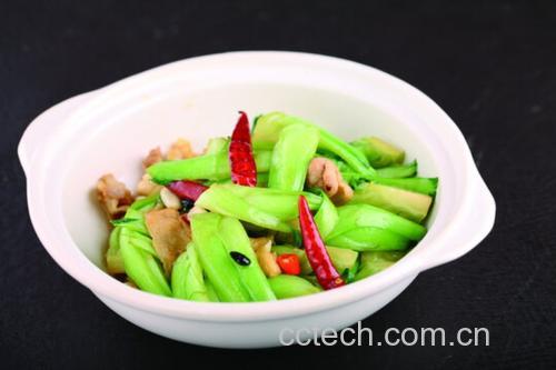 俯拍高清图:纯白釉圆盘中盛放色泽明快的辣子土豆丝,土豆丝根根分明、油亮弹韧,点缀红绿椒丝与金黄蒜末,几粒完整干辣椒段斜卧其间,盘边滴落琥珀色香醋汁,背景虚化为竹制筷架与青瓷小碟 成品辣子土豆丝特写摆盘