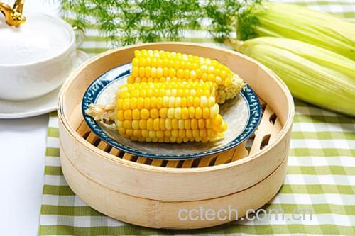 蒸制过程关键节点图:展示沸水状态、蒸汽稳定性、计时器读数及预处理玉米,突出‘水沸入锅’操作规范 厨房操作台实景:不锈钢蒸锅正在冒稳定白色蒸汽,锅盖边缘可见细密水珠,旁边放置计时器显示“14:22”,案板上摆着刚浸泡完的带须玉米和量勺