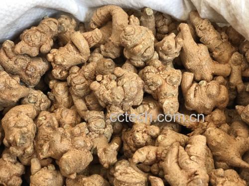 西洋参与三七搭配使用的中药材展示图 西洋参与三七的搭配图