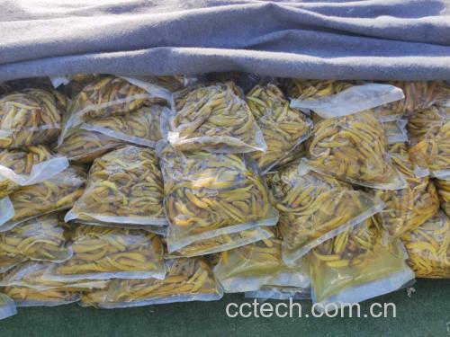 腌制螺丝椒放入玻璃罐中,加入调料密封保存 腌制螺丝椒示意图