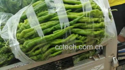 螺丝椒放入密封袋并用纸巾吸干水分进行冷藏保存 螺丝椒冷藏保存示意图