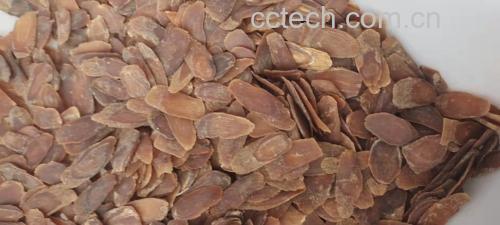 图片说明:高质量红参切片,表面有光泽,质地坚实 红参切片展示