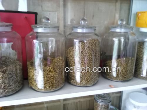 展示包装精美的铁皮石斛与西洋参成品药材 石斛与西洋参成品展示图