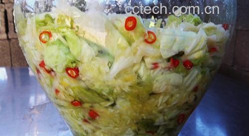 高清侧拍:玻璃罐内生菜泡菜发酵状态,清晰展现菜叶舒展形态、配料分布、液体澄澈度及罐壁细微气泡,体现健康活菌发酵过程 生菜泡菜特写:玻璃发酵罐内翠绿生菜叶与红小米辣、姜丝交错,液体清澈微泡,罐壁有细小气泡附着,背景为北欧风厨房台面