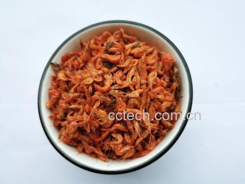 成品菜肴装在白色瓷盘中,色泽鲜艳,虾仁饱满,螺丝椒翠绿,令人食欲大开 成品图:螺丝椒炒虾仁装盘效果